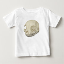 Cat Skull