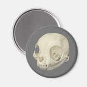 Cat Skull Magnet (Voorkant / Achterkant)