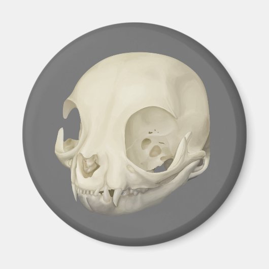 Cat Skull Magnet (Voorkant)