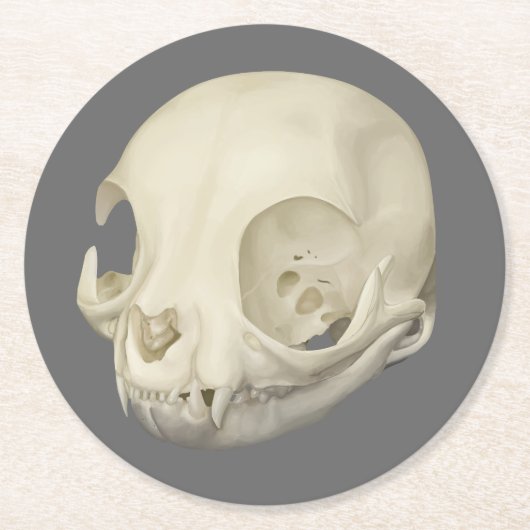 Cat Skull Ronde Kartonnen Onderzetter (Voorkant)