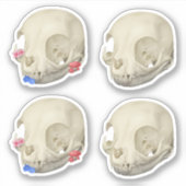 Cat Skull Sticker Set (Voorkant)