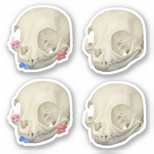 Cat Skull Sticker Set (Voorkant)