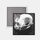 Cat Skull Taxidermy Gothic magnet (Voorkant / Achterkant)