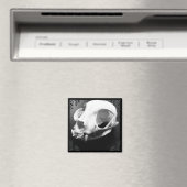 Cat Skull Taxidermy Gothic magnet (Insitu (Vaatwasser))