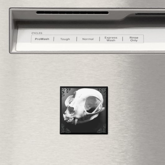 Cat Skull Taxidermy Gothic magnet (Insitu (Vaatwasser))