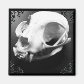 Cat Skull Taxidermy Gothic magnet (Voorkant)