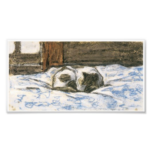 Cat Slaapend op een bed van Claude Monet Foto Afdruk (Voorkant)