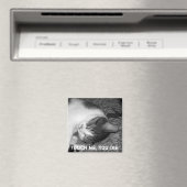 Cat Slaapkrabby Cat Magnet (Insitu (Vaatwasser))