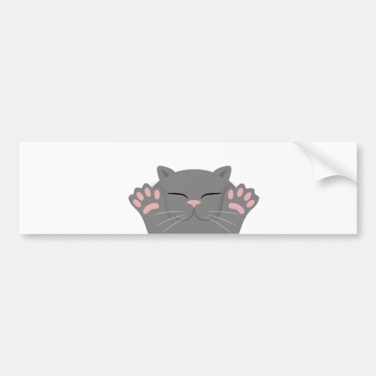 Cat Slaping Bumpersticker (Voorkant)