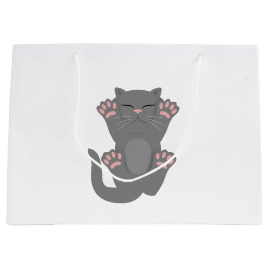 Cat Slaping Groot Cadeauzakje (Voorkant)