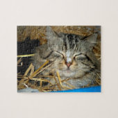 Cat Slaping Kat Foto Legpuzzel (Horizontaal)