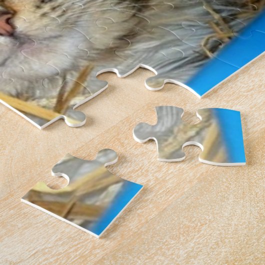 Cat Slaping Kat Foto Legpuzzel (Zijkant)
