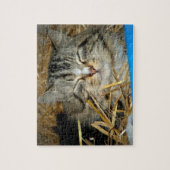 Cat Slaping Kat Foto Legpuzzel (Verticaal)