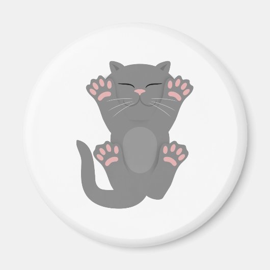 Cat Slaping Magneet (Voorkant)