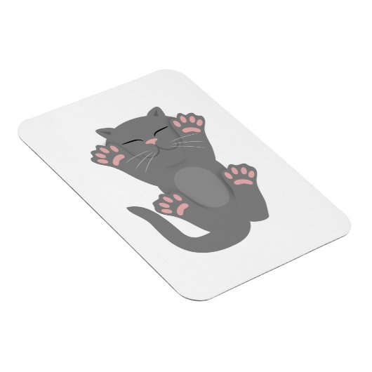 Cat Slaping Magneet (Rechterzijde)