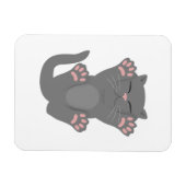 Cat Slaping Magneet (Horizontaal)