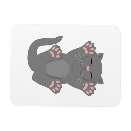 Cat Slaping Magneet (Horizontaal)