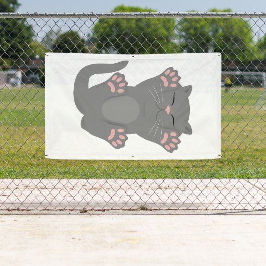 Cat Slaping Spandoek (Insitu)