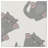 Cat Slaping Stof (Close Up)
