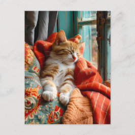 Cat Sleeping by Window with Pillow and Blanket Briefkaart
