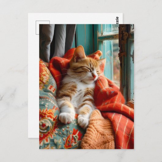 Cat Sleeping by Window with Pillow and Blanket Briefkaart (Voorkant / Achterkant)
