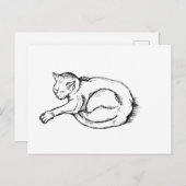 Cat Sleeping Illustration Pen Drawing Art Briefkaart (Voorkant / Achterkant)