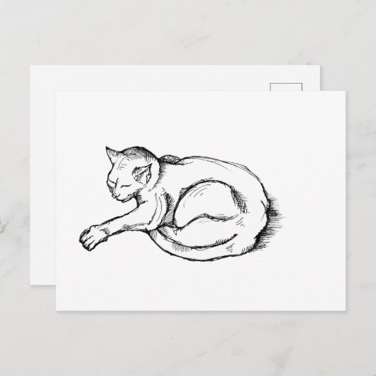 Cat Sleeping Illustration Pen Drawing Art Briefkaart (Voorkant / Achterkant)
