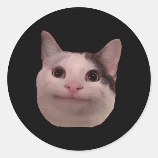 Cat Smiling Cat Beluga Ronde Sticker (Voorkant)