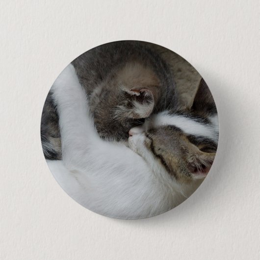 Cat Snuggles Button (Voorkant)