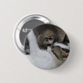 Cat Snuggles Button (Voorkant /achterkant)