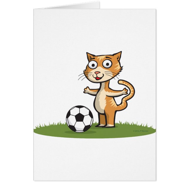 Cat Soccer (Voorkant)
