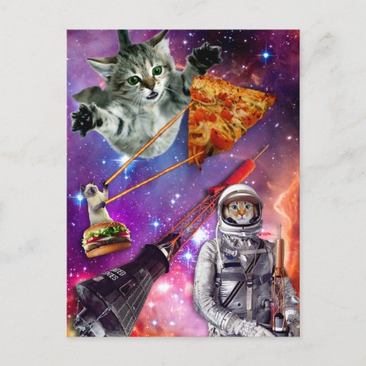 Cat Space Federation Briefkaart (Voorkant)