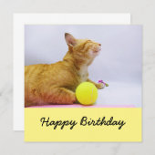 Cat speelt tennisbal verjaardagskaart (Voorkant / Achterkant)