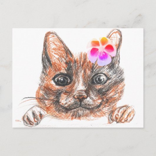Cat Spring Wenskaart Briefkaart (Voorkant)