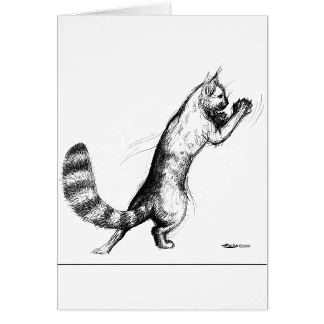 Cat Springing2 (Voorkant)