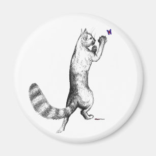 Cat Springings Magneet