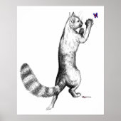 Cat Springings Poster (Voorkant)