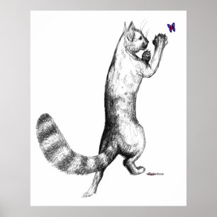 Cat Springings Poster