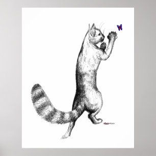 Cat Springings Poster
