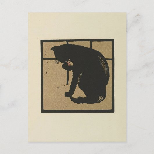 Cat - Square Animals Illustratie Briefkaart (Voorkant)