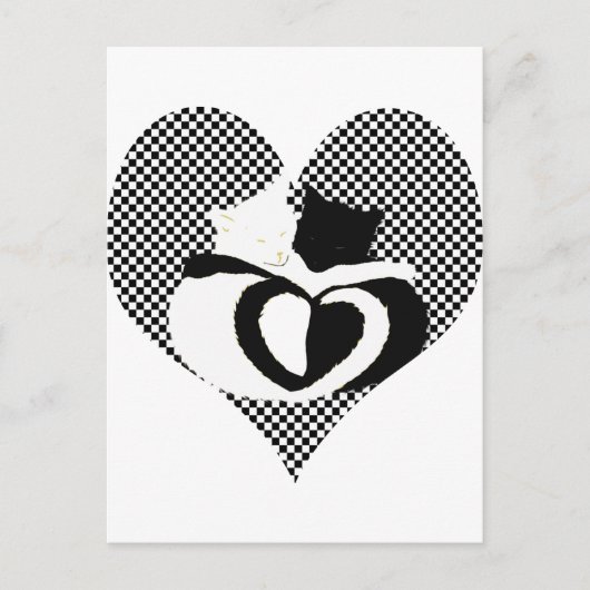 CAT-staarten - zwarte witte liefde Briefkaart (Voorkant)