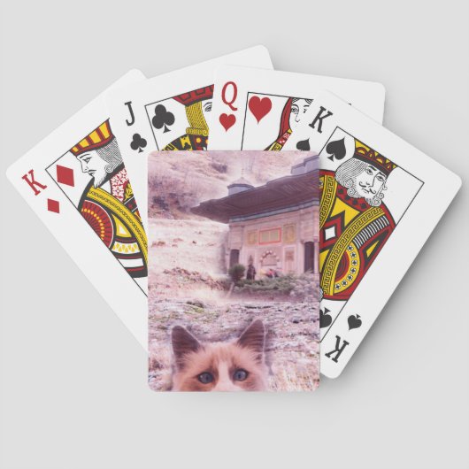 Cat Stare Classic Speelkaarten (Achterkant)