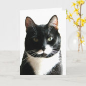 Cat Stare Down Verjaardag Kaart (Gele Bloem)