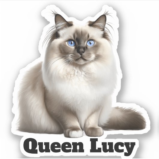 Cat. Sticker (Voorkant)