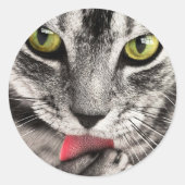CAT sticker & label (Voorkant)