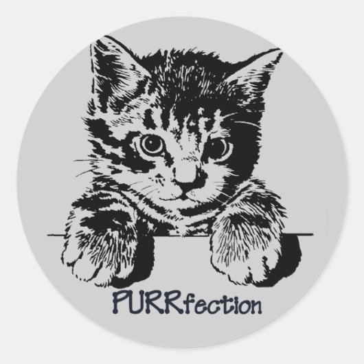 Cat Sticker Purrfection (Voorkant)