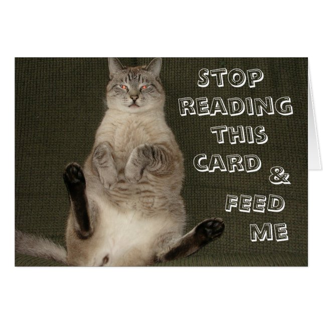 Cat "STOP MET HET LEZEN VAN DEZE KAART & VOER ME"  (Voorkant Horizontaal)