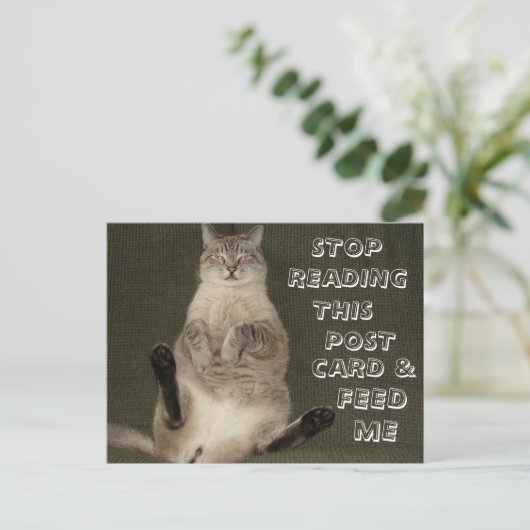 Cat "Stop met lezen Briefkaart & Feed Me" Briefkaa (Staand voorkant)
