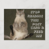 Cat "Stop met lezen Briefkaart & Feed Me" Briefkaa (Voorkant)