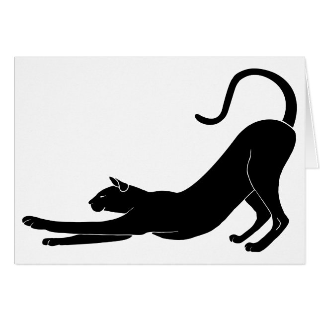 Cat Stretching (Voorkant Horizontaal)